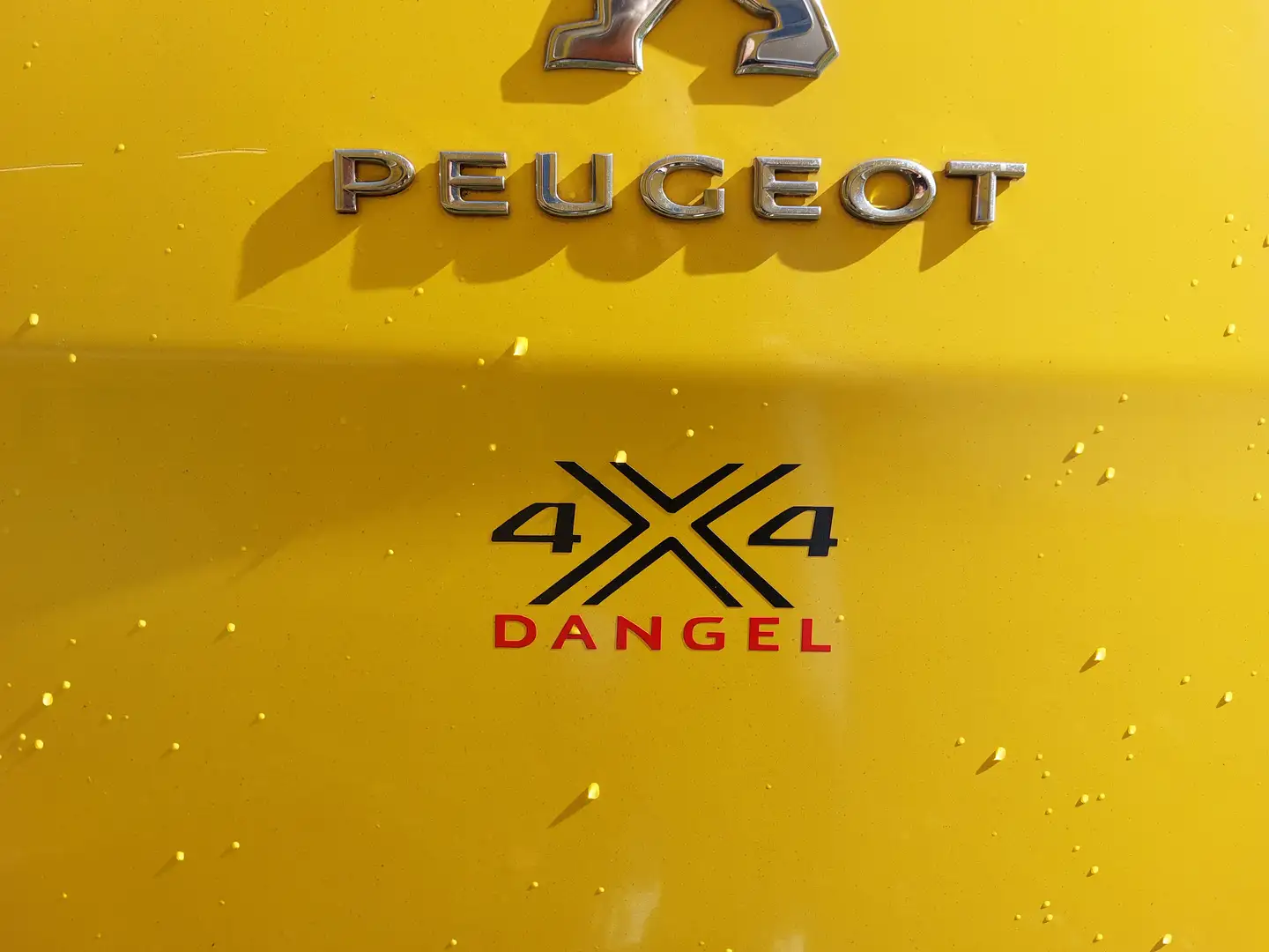 Peugeot Expert Allrad 4x4 - Transporter Gelb - 2