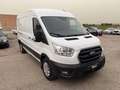 Ford Transit V363 350 2.0 tdci 170cv trend L3H2 E6.2 Білий - thumbnail 11
