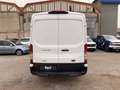 Ford Transit V363 350 2.0 tdci 170cv trend L3H2 E6.2 Білий - thumbnail 13