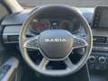 Dacia Jogger Extreme+ ECO-G 100 SHZ Rückfahrkamera PDC Gri - thumbnail 11