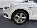 Ford S-Max 2.0 TDCi 110kW Titanium PowerShift Blanco - thumbnail 10