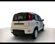 Fiat Panda 1.0 Hybrid 70cv Weiß - thumbnail 7