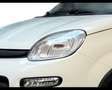 Fiat Panda 1.0 Hybrid 70cv Weiß - thumbnail 3