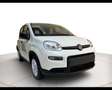 Fiat Panda 1.0 Hybrid 70cv Weiß - thumbnail 8