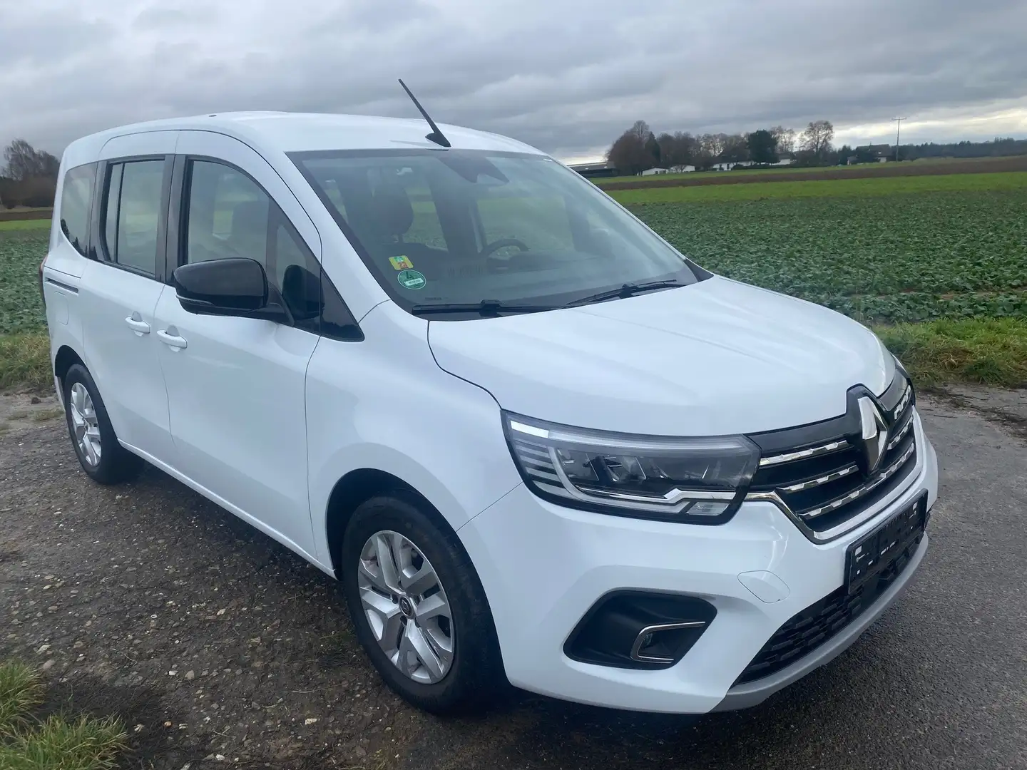 Renault Kangoo Edition One T.-Leder LED Navi Weiß - 1