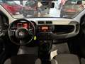 Fiat Panda *NO OBBLIGO FINANZIAMENTO*  HYBRID 1.0 70CV Gris - thumbnail 10
