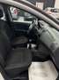 Dacia Sandero Sandero 1.2 Extra 75cv - thumbnail 11