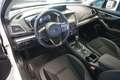 Subaru Impreza Exclusive Line AWD Aut. ACC/LED/SHZ Weiß - thumbnail 7