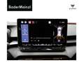 CUPRA Terramar VZ 2.0 TSI 195 kW DSG Grau - thumbnail 19