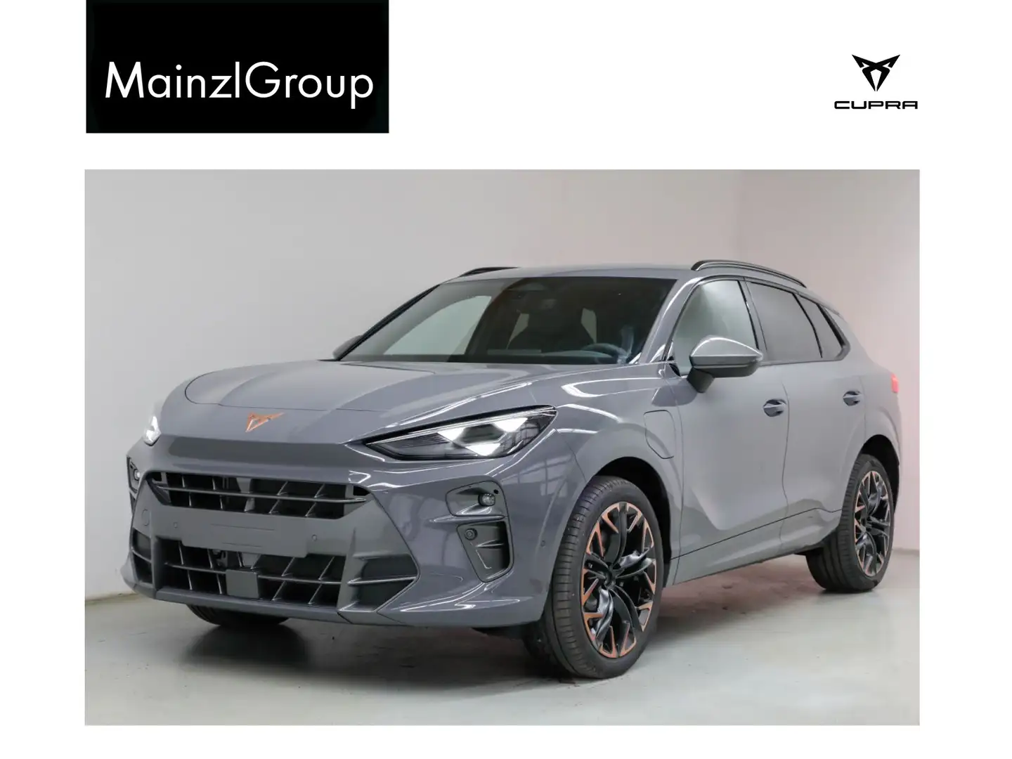 CUPRA Terramar Cupra Terramar VZ 2.0 TSI 195 kW DSG Grau - 1
