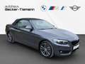 BMW 218 i A Cabrio,Sport Line,Navi,Klimaautomatik,etc. Grau - thumbnail 7