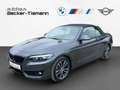 BMW 218 i A Cabrio,Sport Line,Navi,Klimaautomatik,etc. Grey - thumbnail 1