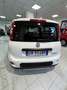 Fiat Panda Panda III 2021 1.0 firefly hybrid City Life s Bianco - thumbnail 3