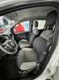 Fiat Panda Panda III 2021 1.0 firefly hybrid City Life s Bianco - thumbnail 5