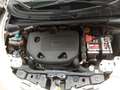 Lancia Ypsilon Ypsilon III 2011 0.9 t.air Gold ecochic metano Bianco - thumbnail 9