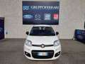 Fiat Panda 3 serie 1.3 MJT 95 CV - IVA ESPOSTA!!! Bianco - thumbnail 7