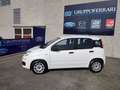Fiat Panda 3 serie 1.3 MJT 95 CV - IVA ESPOSTA!!! Bianco - thumbnail 3