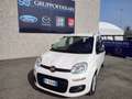 Fiat Panda 3 serie 1.3 MJT 95 CV - IVA ESPOSTA!!! Bianco - thumbnail 2