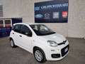 Fiat Panda 3 serie 1.3 MJT 95 CV - IVA ESPOSTA!!! Bianco - thumbnail 5