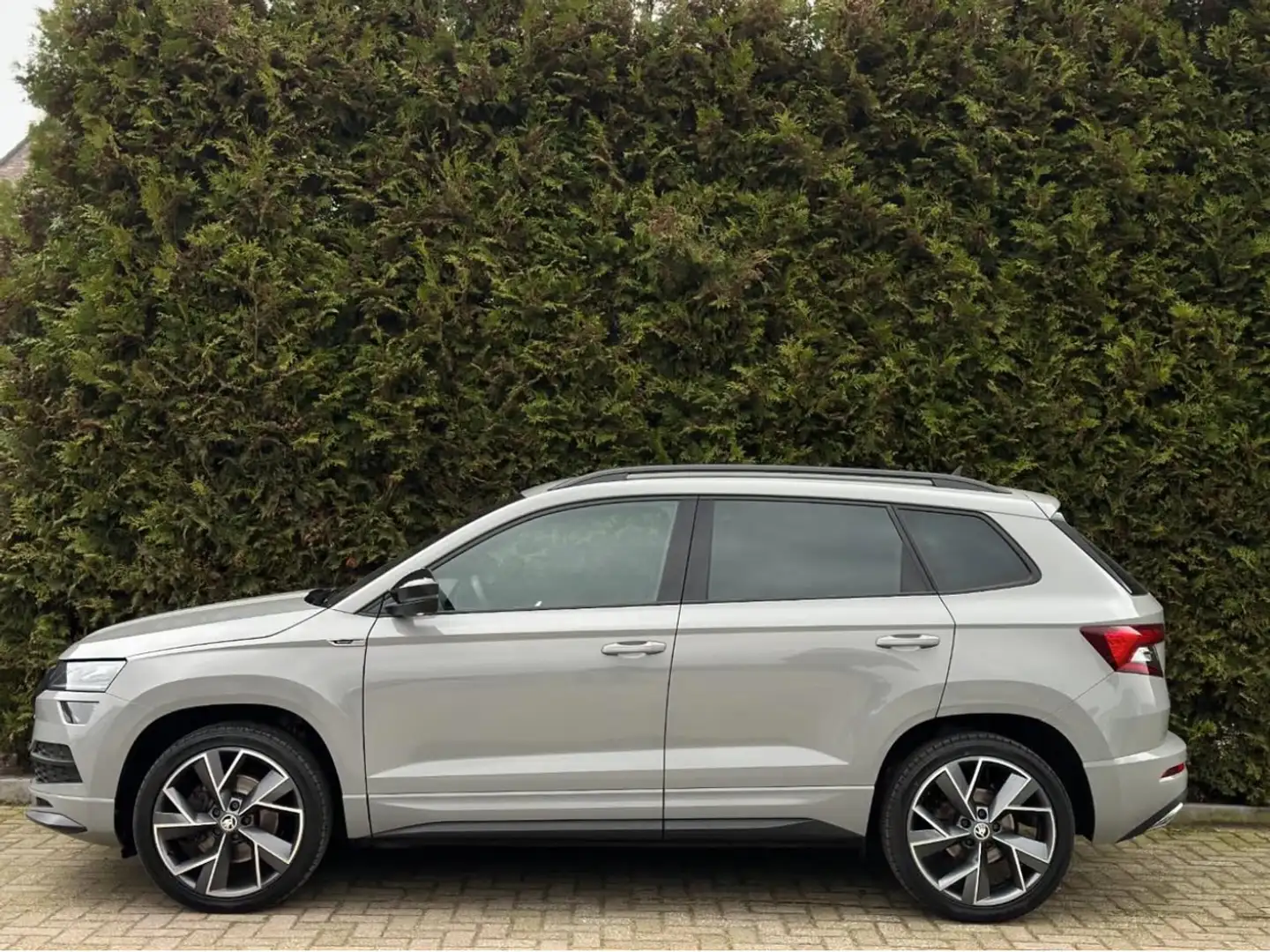 Skoda Karoq Karoq 2.0 TSI 4x4 Sp. Business Grijs - 2