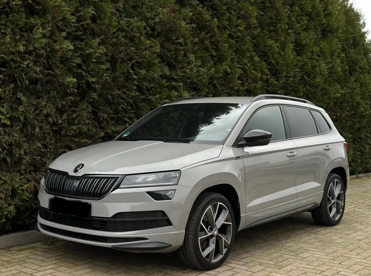 Skoda Karoq Karoq 2.0 TSI 4x4 Sp. Business Grijs - 1