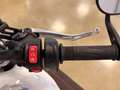 Triumph Speed Twin 1200 Bianco - thumbnail 11