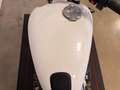 Triumph Speed Twin 1200 Bianco - thumbnail 10