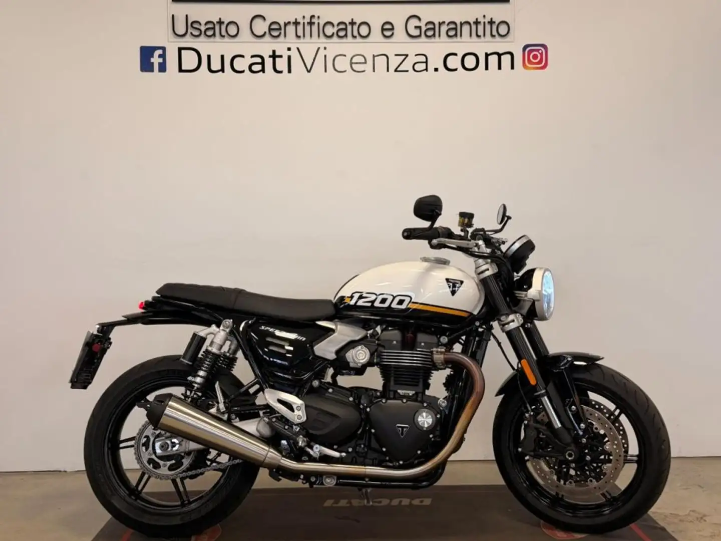 Triumph Speed Twin 1200 Bianco - 1