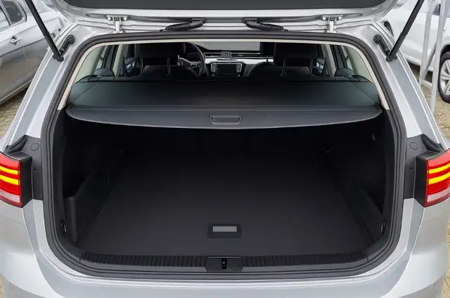 Volkswagen Passat view 12