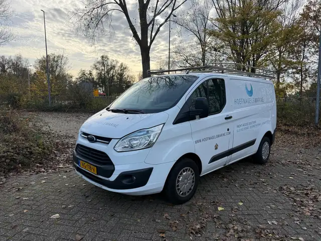 Ford Transit Custom 270 2.2 TDCI Verstuiver Defect