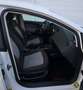 SEAT Ibiza 1.2 Chili, Neu Pickerl, Ruckfahrkamera, Android Weiß - thumbnail 20