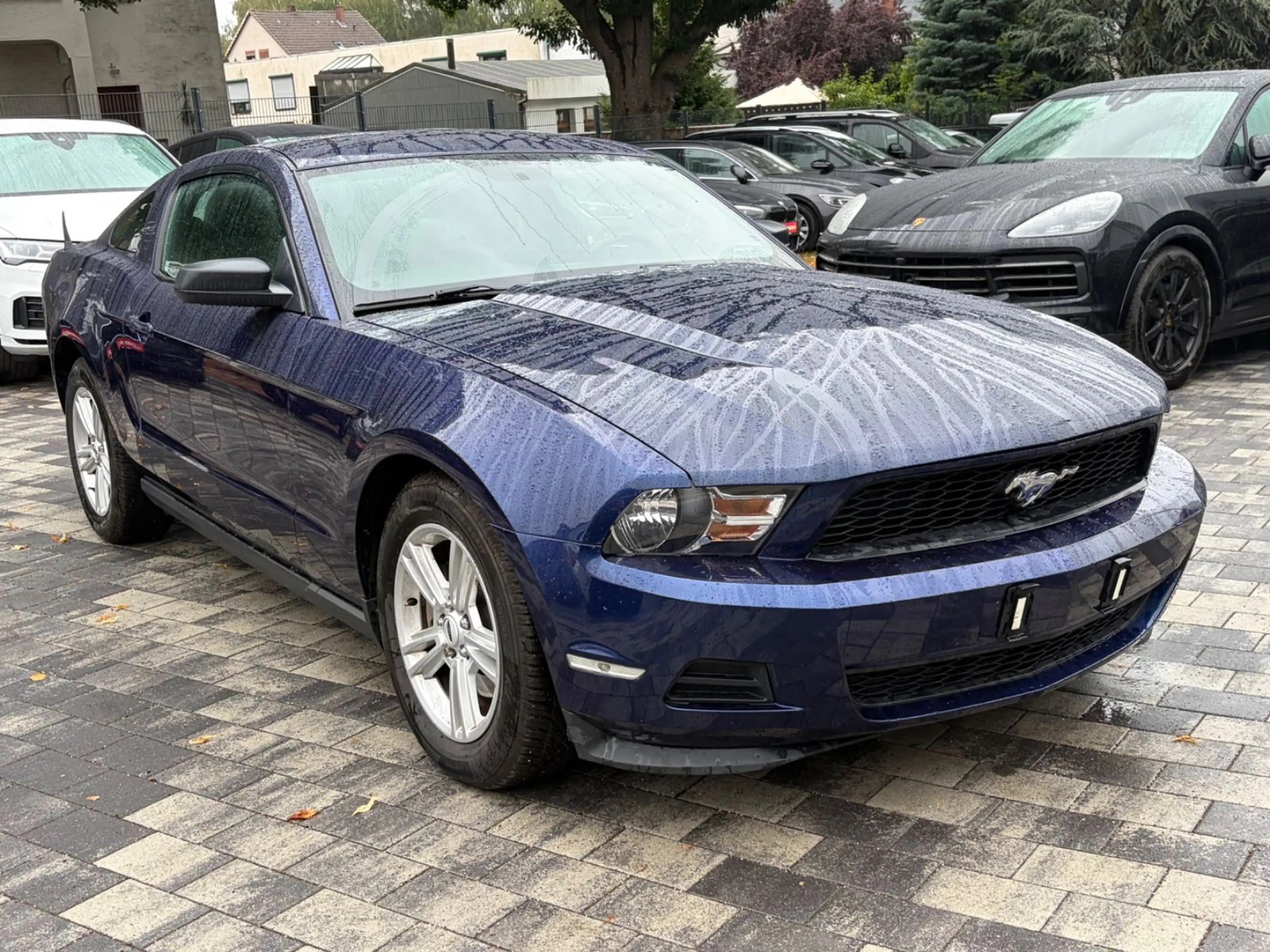 Ford Mustang 3.7 — photo 3