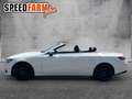 Mercedes-Benz E 220 d Avantgarde Traum Cabrio Historie Bílá - thumbnail 3