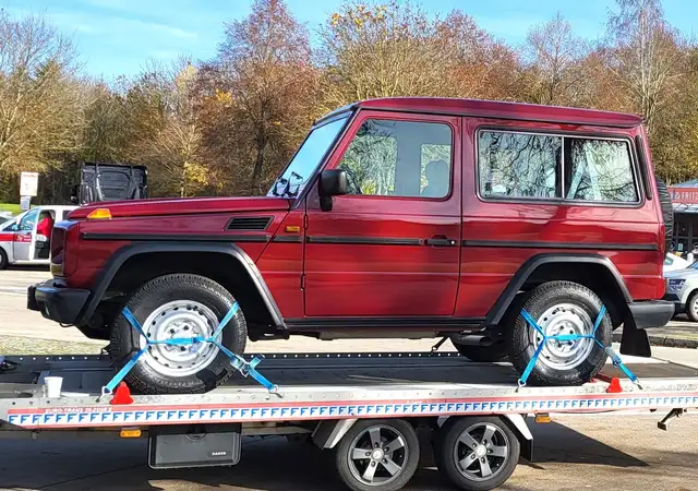Mercedes-Benz G 230 200GE 1/376 Stück!Der Beste! wunderschön!