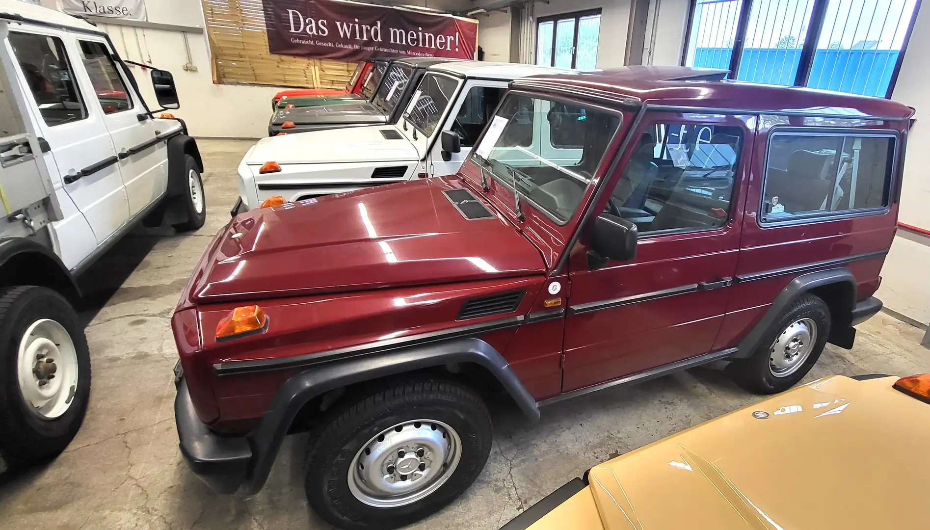 Mercedes-Benz G 230 200GE 1/376 Stück!Der Beste! wunderschön! Rot - 1