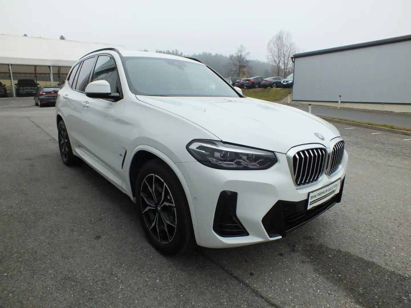 BMW X3 xDrive30e Weiß - 2