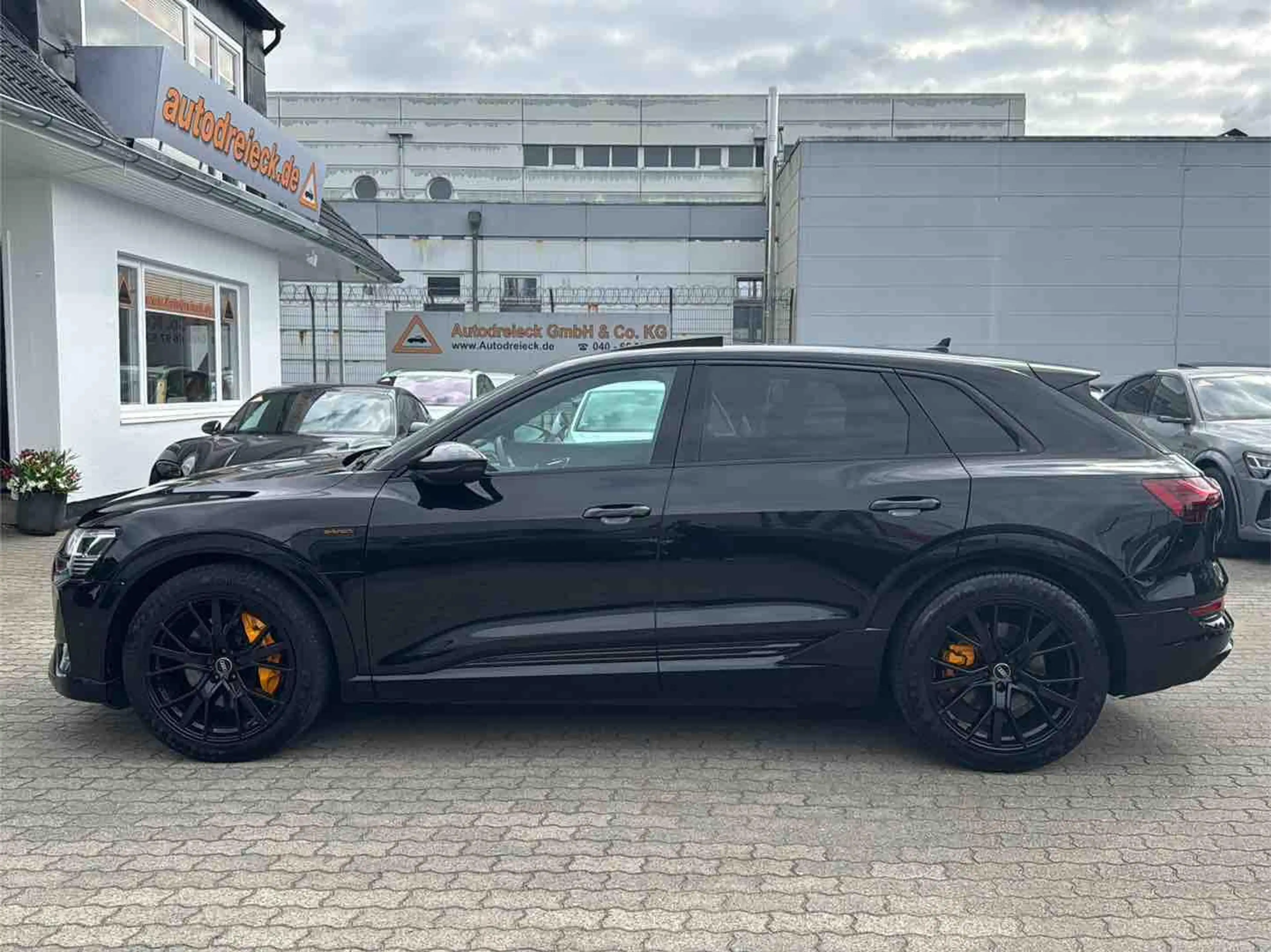 Audi e-tron 55 2x S line BLACK EDITION PANO 21Z SHZ — photo 11