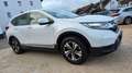 Honda CR-V +TÜV+LED+GARANTIE+KAMERA+ANHÄNGER+ Blanc - thumbnail 11