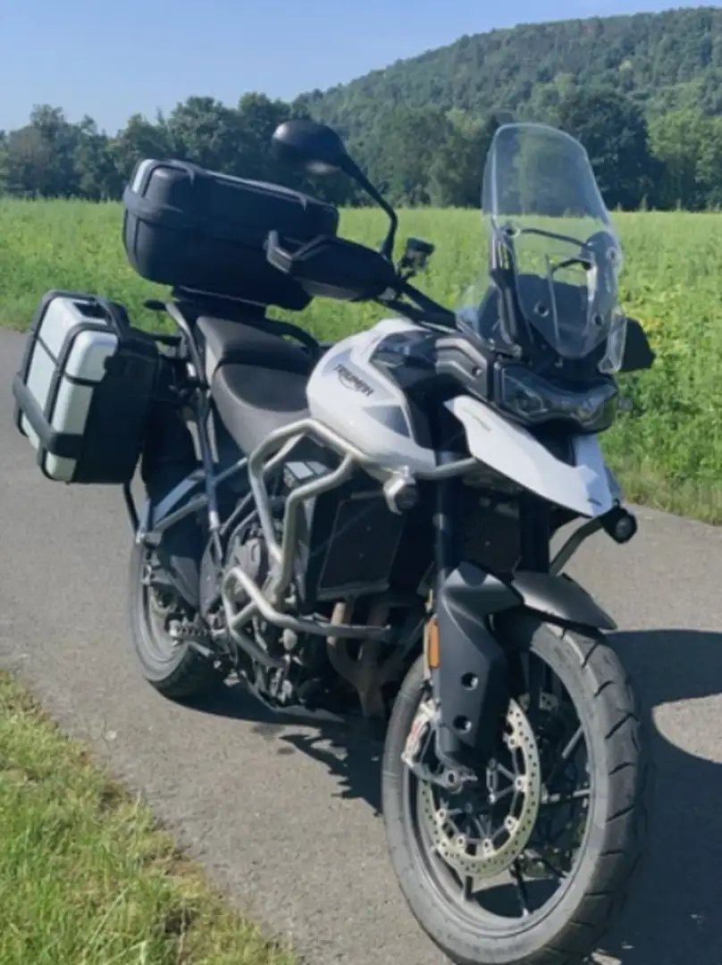 Triumph Tiger 900 Alb - 1