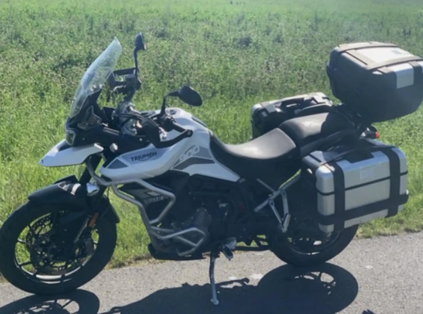 Triumph Tiger 900 Alb - 2