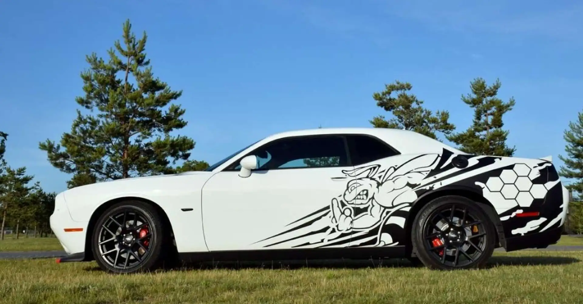 Dodge Challenger R/T T/A Blanco - 1