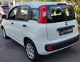 Fiat Panda Panda1.2 Easy s&s 69cv 6d-Temp Bianco - thumbnail 5