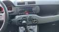 Fiat Panda Panda1.2 Easy s&s 69cv 6d-Temp Bianco - thumbnail 11
