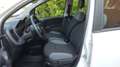 Fiat Panda Panda1.2 Easy s&s 69cv 6d-Temp Bianco - thumbnail 12