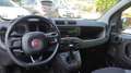 Fiat Panda Panda1.2 Easy s&s 69cv 6d-Temp Bianco - thumbnail 9