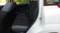 Fiat Panda Panda1.2 Easy s&s 69cv 6d-Temp Bianco - thumbnail 13