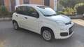 Fiat Panda Panda1.2 Easy s&s 69cv 6d-Temp Bianco - thumbnail 3