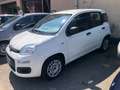 Fiat Panda Panda1.2 Easy s&s 69cv 6d-Temp Bianco - thumbnail 2