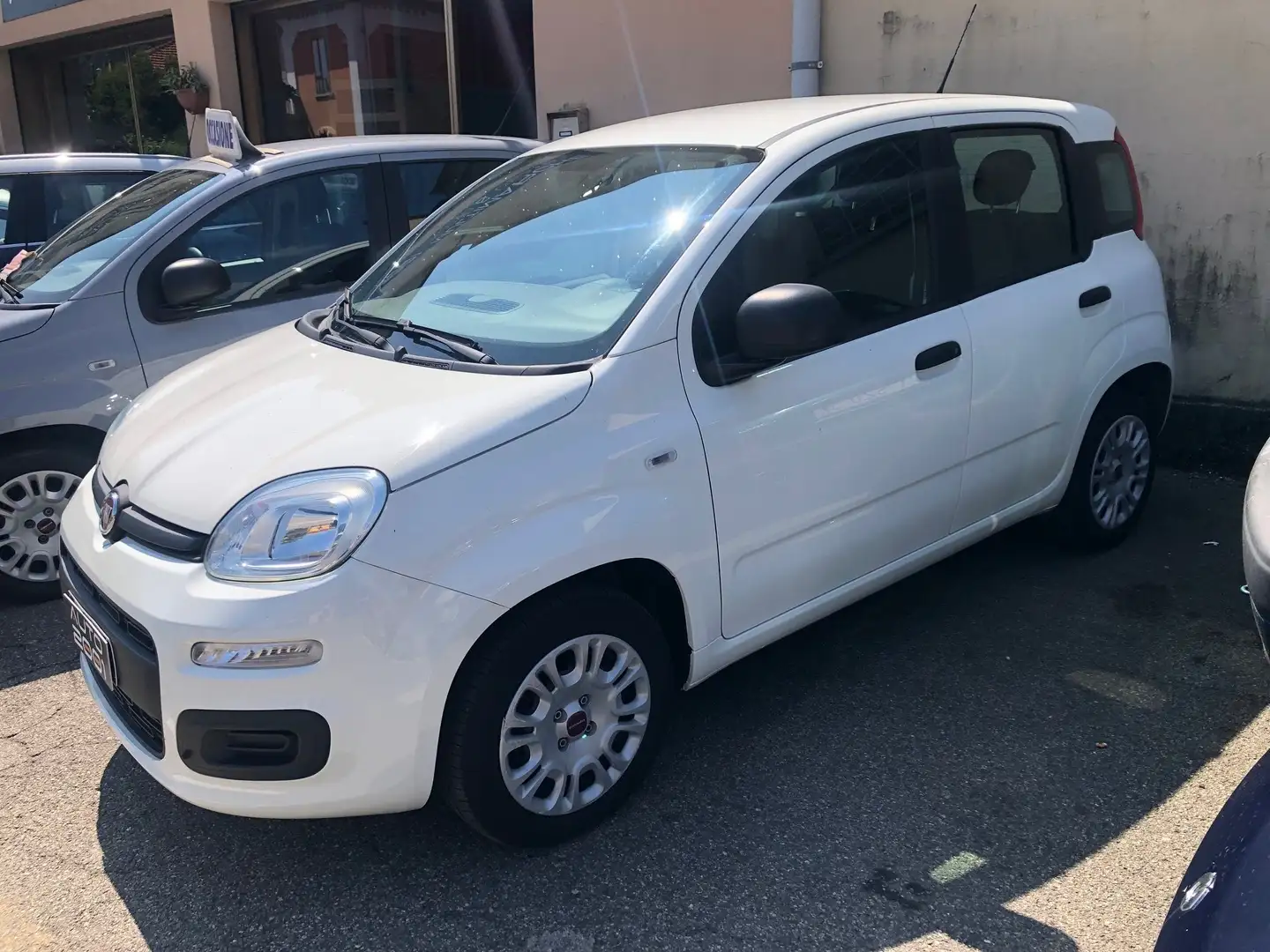 Fiat Panda Panda1.2 Easy s&s 69cv 6d-Temp Bianco - 2