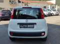 Fiat Panda Panda1.2 Easy s&s 69cv 6d-Temp Bianco - thumbnail 4